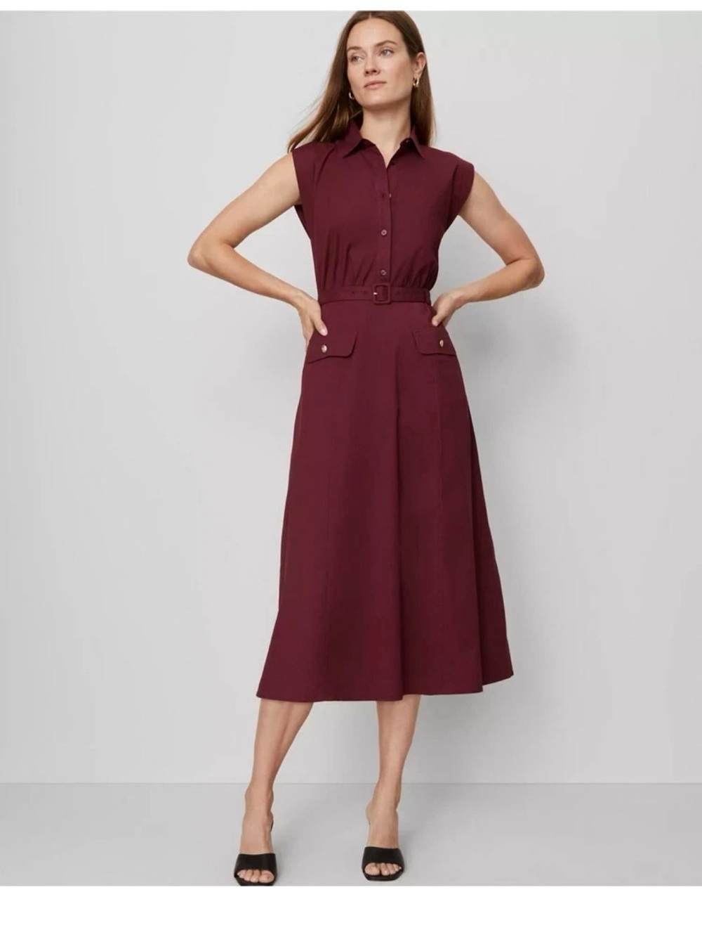 NWT $179 ANN TAYLOR WINDSOR WINE BELTED FLARE MIDI SHIRTDRESS DRESS SZ 4